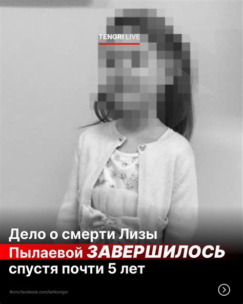Теории о возможной смерти Лизы