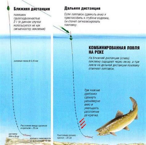 Техника ловли тигровой рыбы