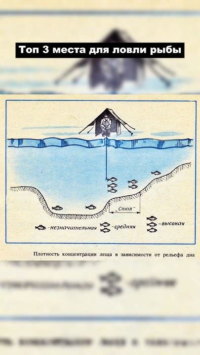 Техники ловли трофейной рыбы