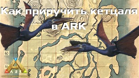 Типы локаций для поиска Кетцалькоатля в Ark