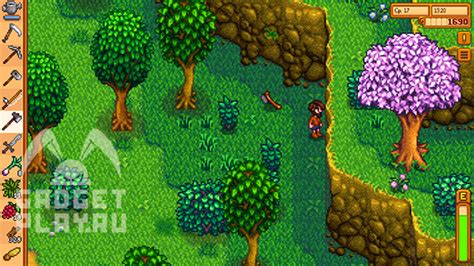 Топор Робин в Stardew Valley