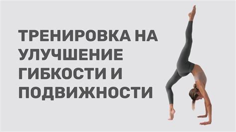 Тренировка ловкости и гибкости