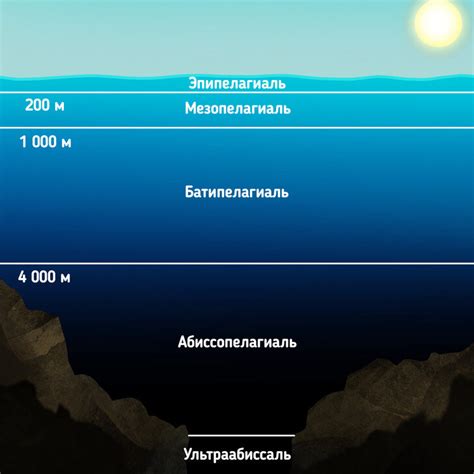Третий уровень: океан
