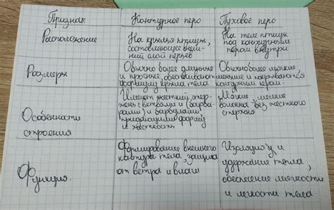 Удобное расположение пера