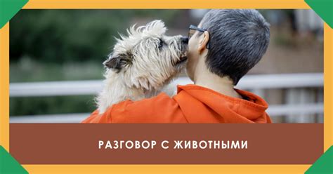 Умение общаться с другими животными