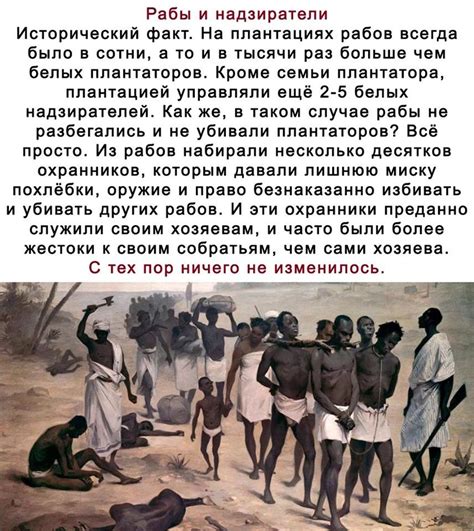 Управление и обучение рабов