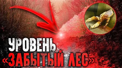 Уровень "Лес Сяома"