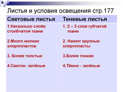 Условия освещения