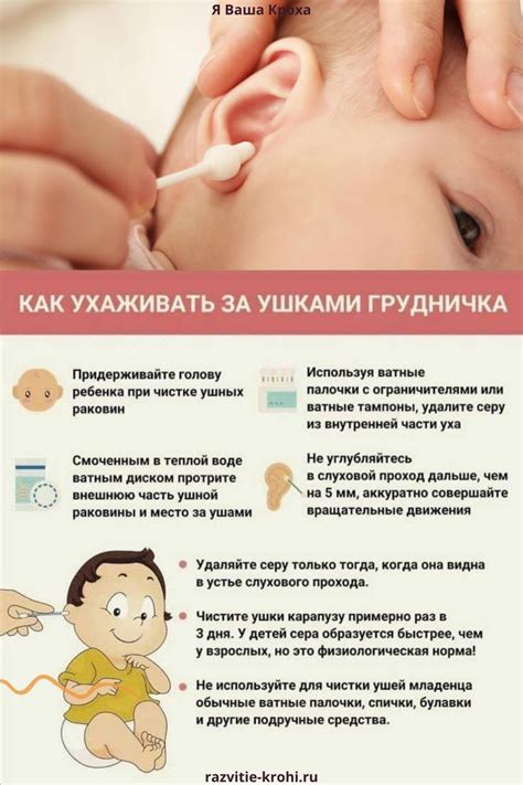 Уход за паразауролофом