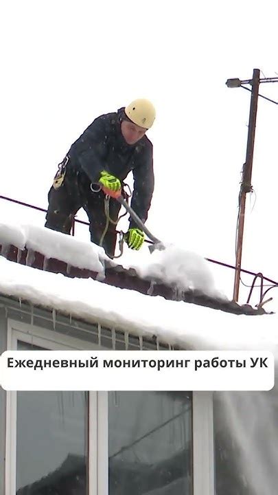Уход и дальнейшая работа с прирученными снежными сталкерами