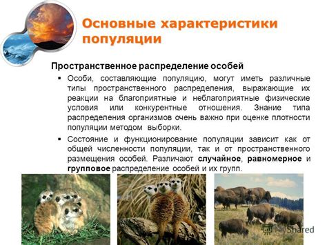 Характеристики Барда и их распределение