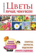 Хитрости и подсказки