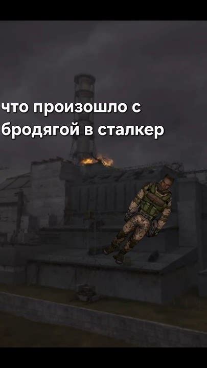 Что делать с шавкой и бродягой в сталкер аномали