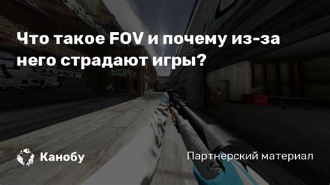 Что такое FOV в игре Payday 2
