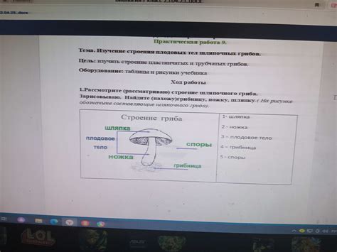 Шаг 1: Идентифицируйте вино