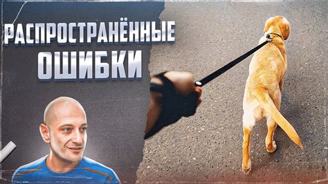 Шаг 1: Поиски и приручение собаки