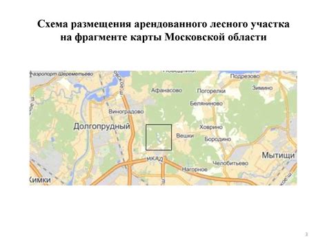 Шаг 2: Выбор нужного участка леса