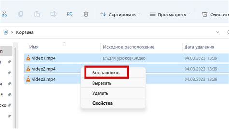 Шаг 3: Замените файлы в игре на файлы из русификатора