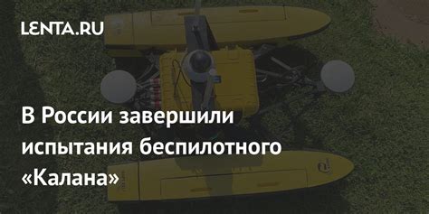 Шаг 3: Разведка территории в поисках молота калана