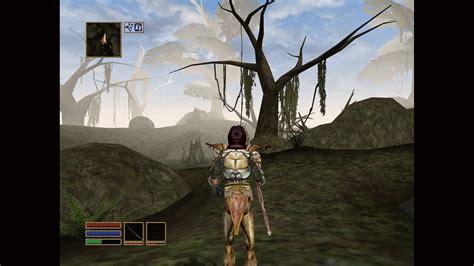 Шаг 3: Смонтируйте образ Morrowind