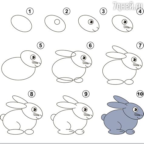 Шаг 6: выброс животного