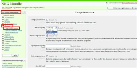 Шаг 8: Настраиваемые настройки языка
