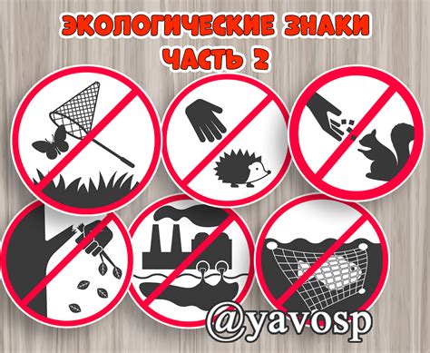 Экологические правила и уход за природой