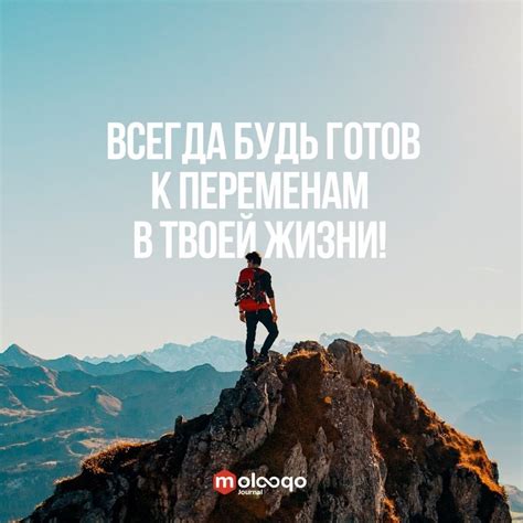 Будь готов к случайностям 