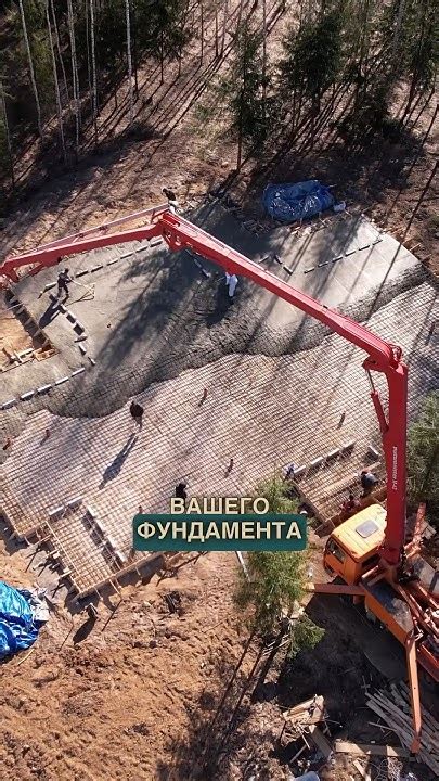  Выбор локации для поиска трицератопса 