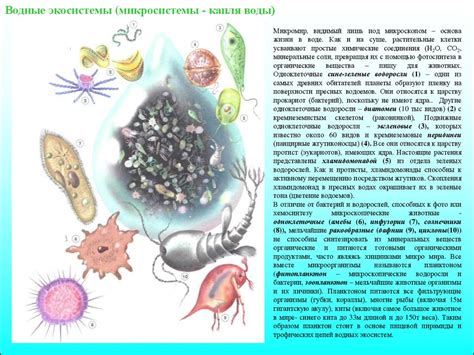  Изучайте биомы и окружение 