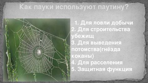  Использование паутины для передвижения 