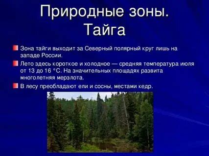  Исследование зоны тайга и поиск секретных мест 
