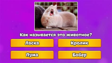  Как начать играть в викторину на двоих