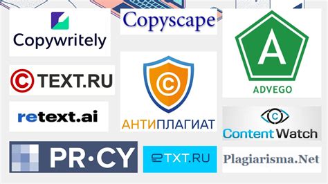 Как пройти проверку на доступ к убежищу 