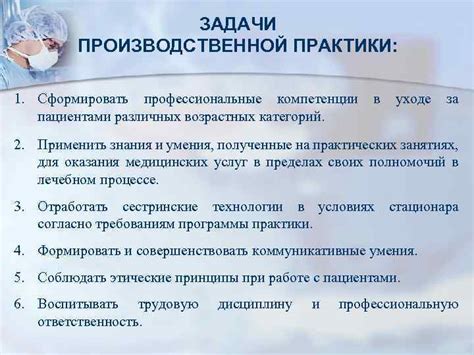  Лучшие практики в уходе за компаньонами 