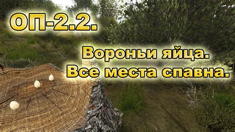  Описание боевых задач в забытом лесу 
