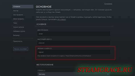  Получение ссылки на Hydra 