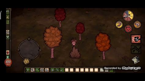  Сбор ресурсов для плота в Don't Starve Together 