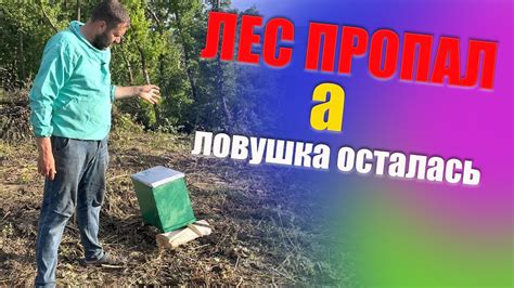  Установка ловушек 