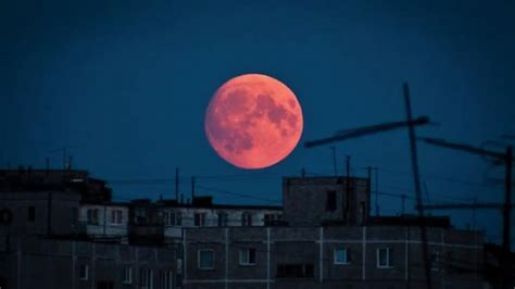  Что такое кровавая луна и зачем она нужна 