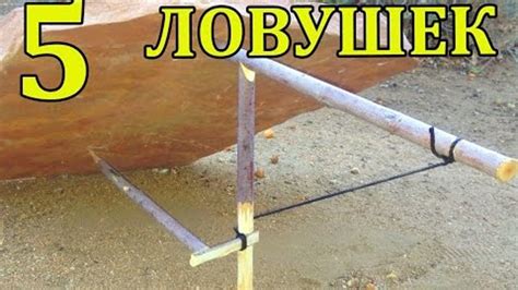 Days to Die: 10 лучших ловушек для выживания