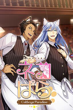 Nekopara cat boys paradise: прохождение и секреты игры