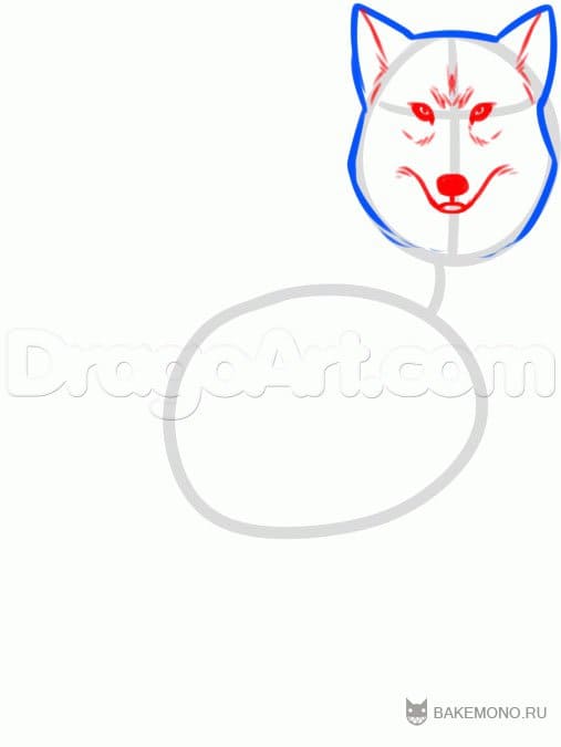 Как нарисовать волка пошагово