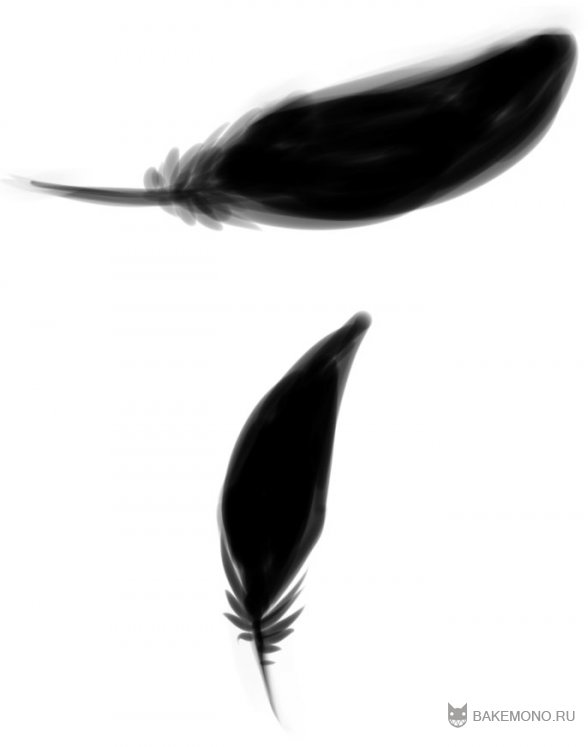 Как поэтапно рисовать перья птиц - павлинов | naturepix.ru