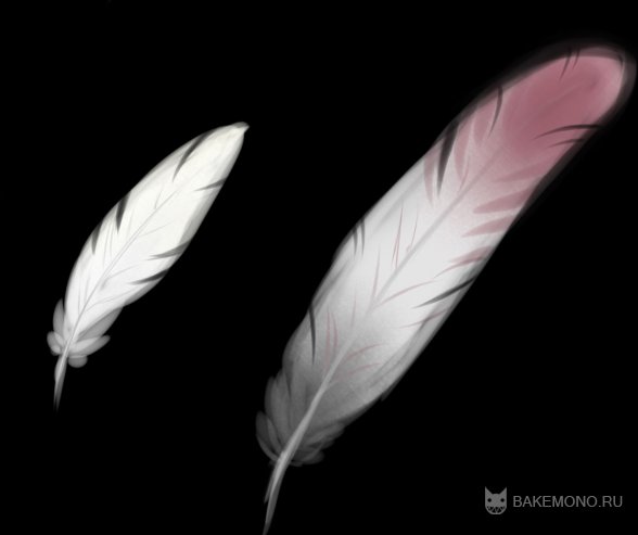Как поэтапно рисовать перья птиц - павлинов | naturepix.ru